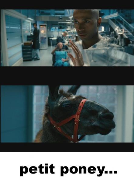 dédicace à ma biche